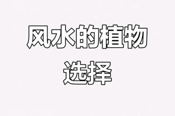 房前不种柳，屋后不栽桑，树木花草的风水作用！