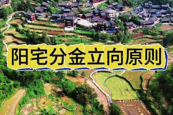 教你正确的如何选择阴宅风水宝地
