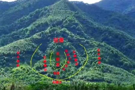 怎么看坟地风水的好坏