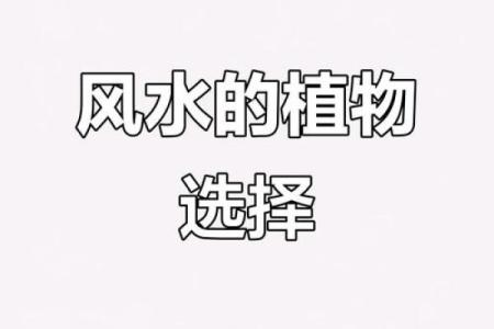房前不种柳，屋后不栽桑，树木花草的风水作用！