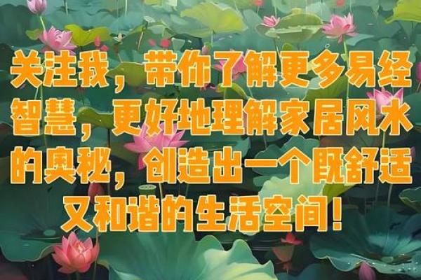 风水是什么_中国风水文化起源于什么