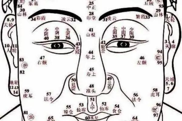 怎样看墓地风水