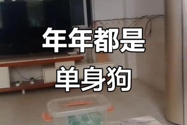 为什么单身？风水：原来是这样