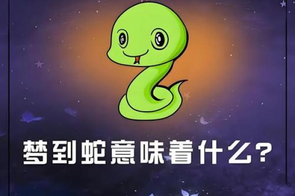 梦见房子风水不好有蛇