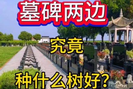 好的墓地风水是怎样