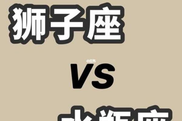 狮子男和水瓶女适合做夫妻吗 狮子男和水瓶女配对指数