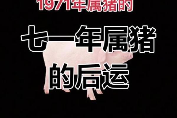 1971年属什么生肖配对 1971年属什么生肖配对最好