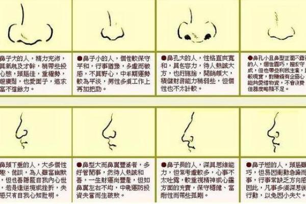 八字眉的女人命好不好风水解读