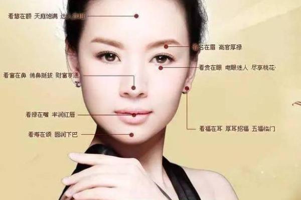 八字眉的女人命好不好风水解读