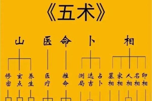 紫薇斗数是什么