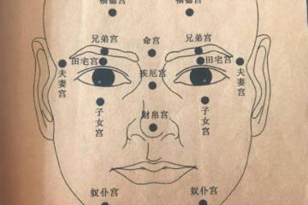 脸的各部位胎记算命详解