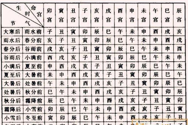 脸的各部位胎记算命详解
