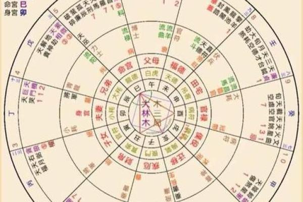 紫薇斗数星盘图片