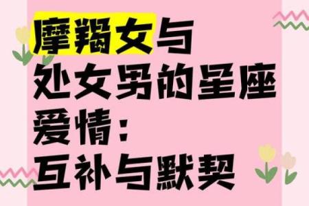 摩羯座和处女座配对指数 摩羯座和处女座配对指数高吗