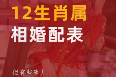 1971年属什么生肖配对 1971年属什么生肖配对最好