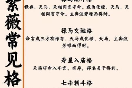 紫薇斗数698元