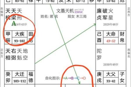 紫微斗数之命宫四化飞星