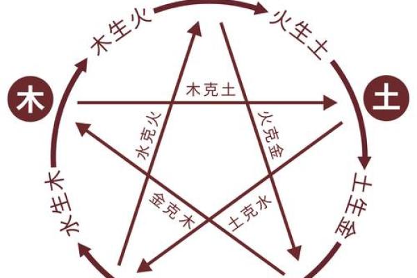 面相算命入门：五行与相貌