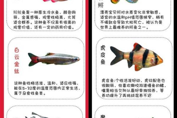 风水颜色_养鱼禁忌的颜色