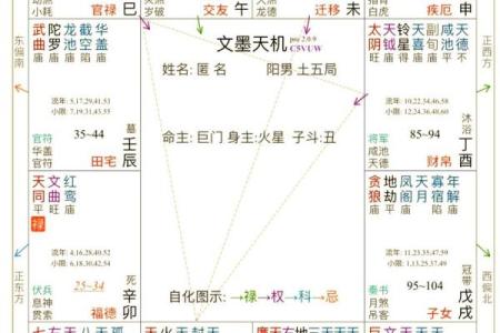 紫微斗数之怎样排斗数四柱详解