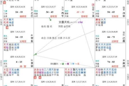 紫薇斗数里的宫干是什么意思