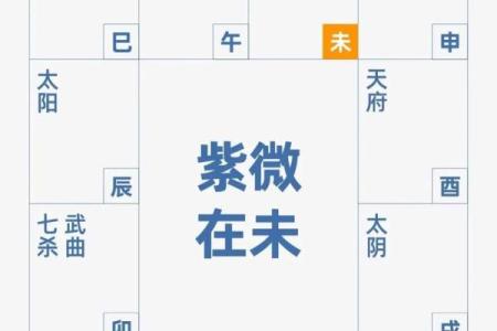 紫薇斗数什么星更好