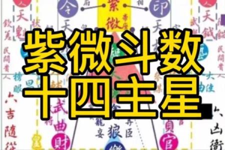 紫薇斗数原盘