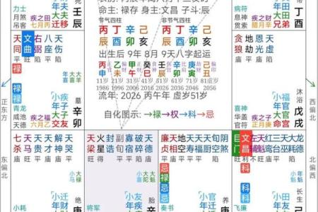 姓名紫薇斗数
