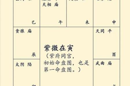 紫薇斗数主星组合