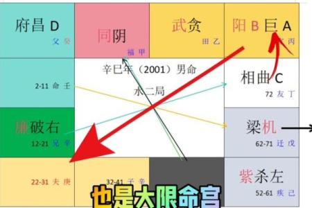 紫薇斗数 四化盘怎么看