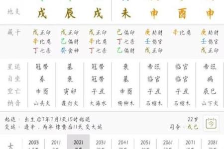 巳时算命,巳时出生的人运势