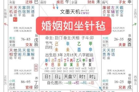 紫薇斗数婚姻墓