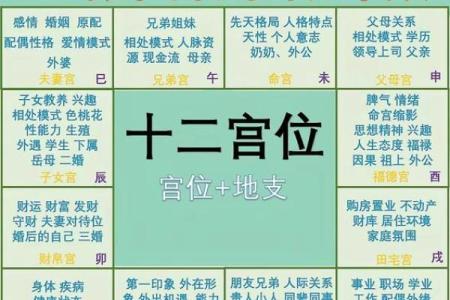 紫薇斗数财星怎么看