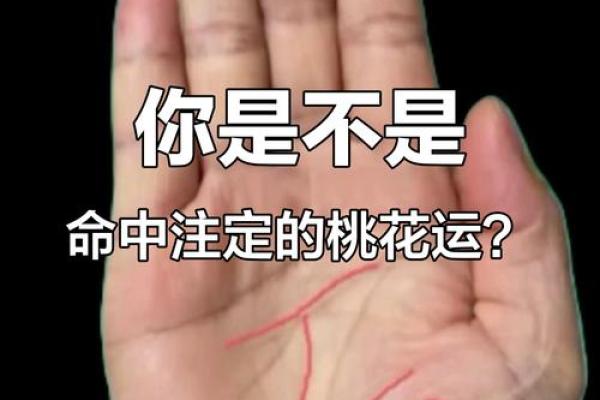异性缘极重的八字与脸相分析：从来不缺桃花运