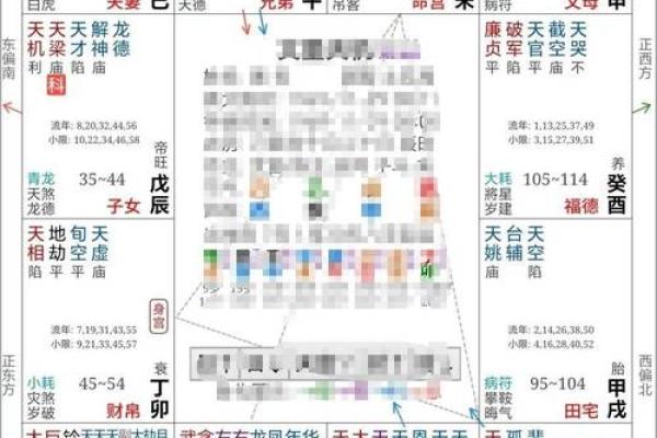 紫薇斗数一等命盘