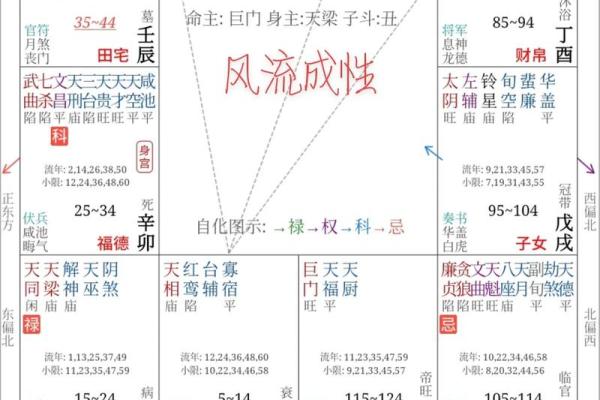 紫薇斗数看子女长相