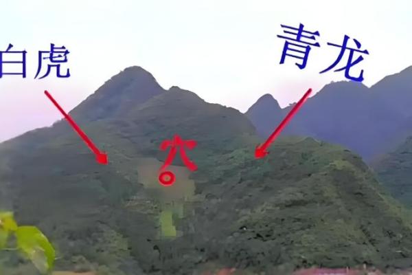 揭秘祖坟好风水的基本要求有哪些