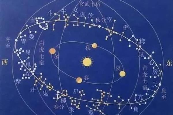 紫薇斗数飞入星