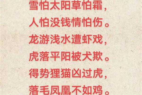风水传说_猪来穷狗来富猫来头上顶白布