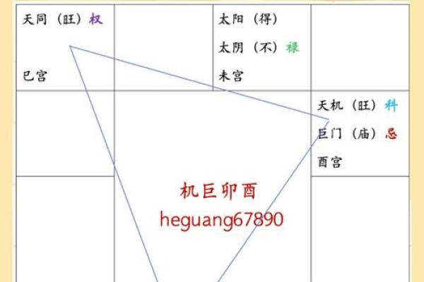 紫薇斗数华盖在官禄宫