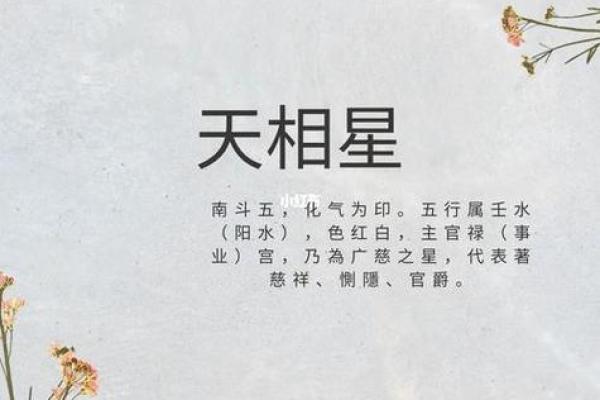 紫微斗数－天相星