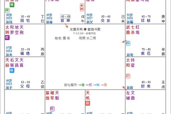 紫薇斗数能看出什么