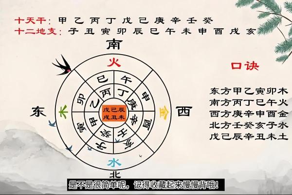 十二地支阴阳五行及方位