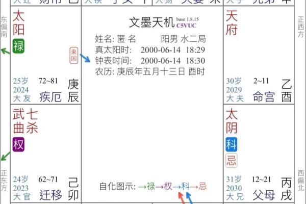 紫薇斗数富翁格局