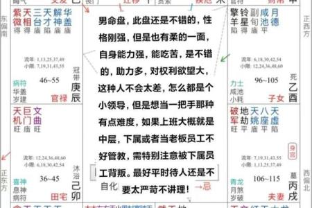 紫薇命理斗数app