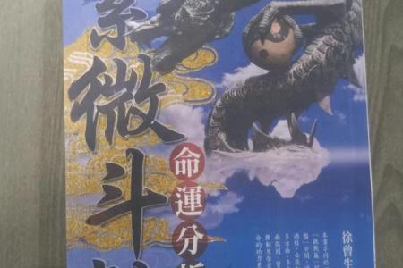 紫薇斗数书推荐