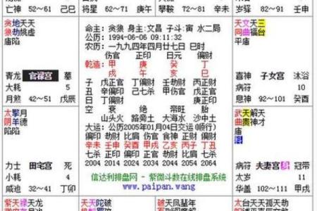 紫薇斗数一等命盘