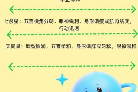 紫薇斗数是帝王学