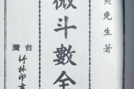 紫薇斗数全书简体