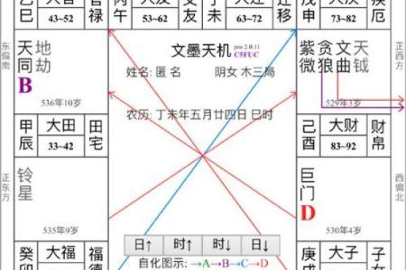 紫薇斗数限流盘
